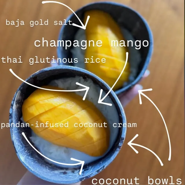 Mango sticky rice in coconut bowls with ingredient notes